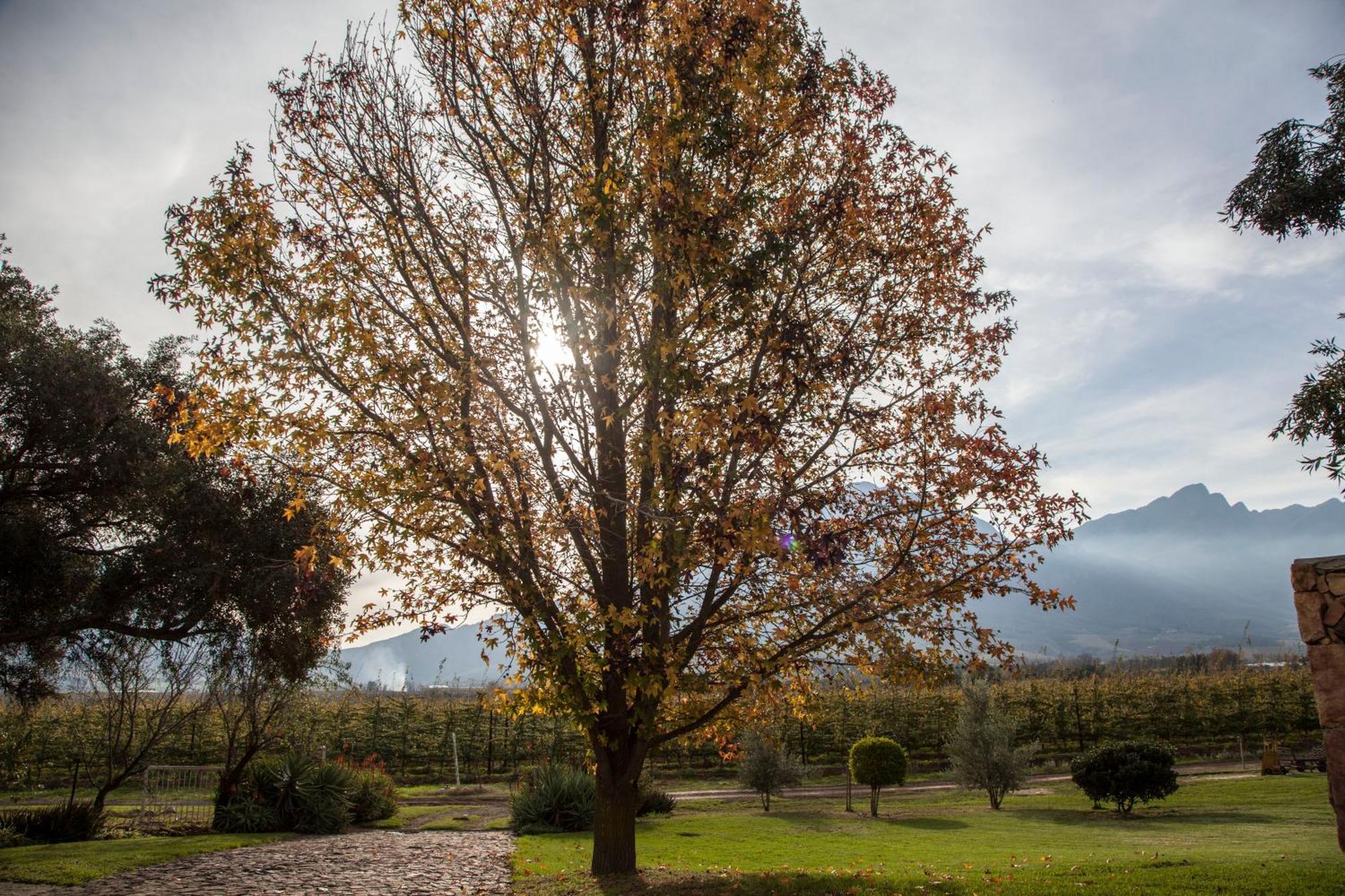 Bergsicht Country Farm Cottages Tulbagh Pokoj fotografie